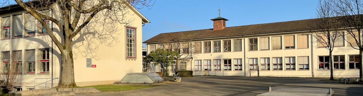 Schule Guggenbühl