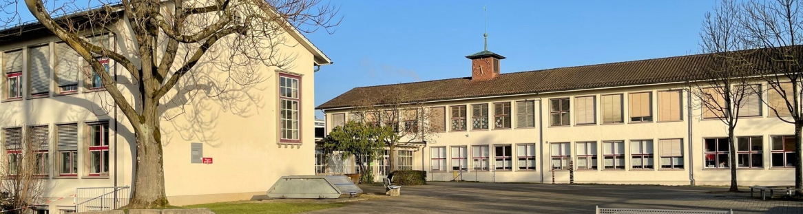 Schule Guggenbühl