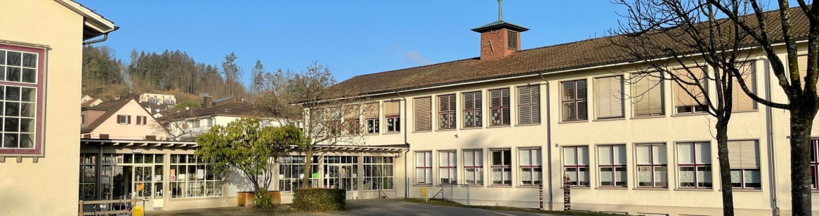 Schule Guggenbühl